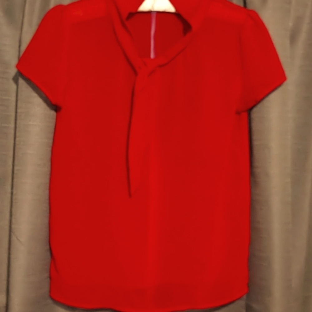 Sheer Red Blouse